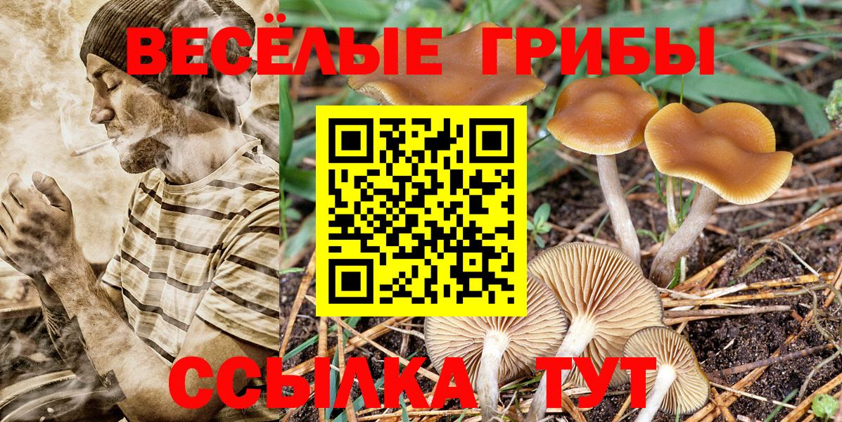 Псилоцибиновые грибы GOLDEN TEACHER  Вход с VPN  Галлюциногенные грибы мухоморы  Первоуральск 